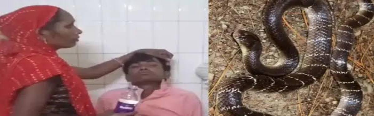 News : नशे में धुत युवक ने निगला जिंदा सांप, सुनते ही सहमे लोग, अस्पताल में भर्ती!
