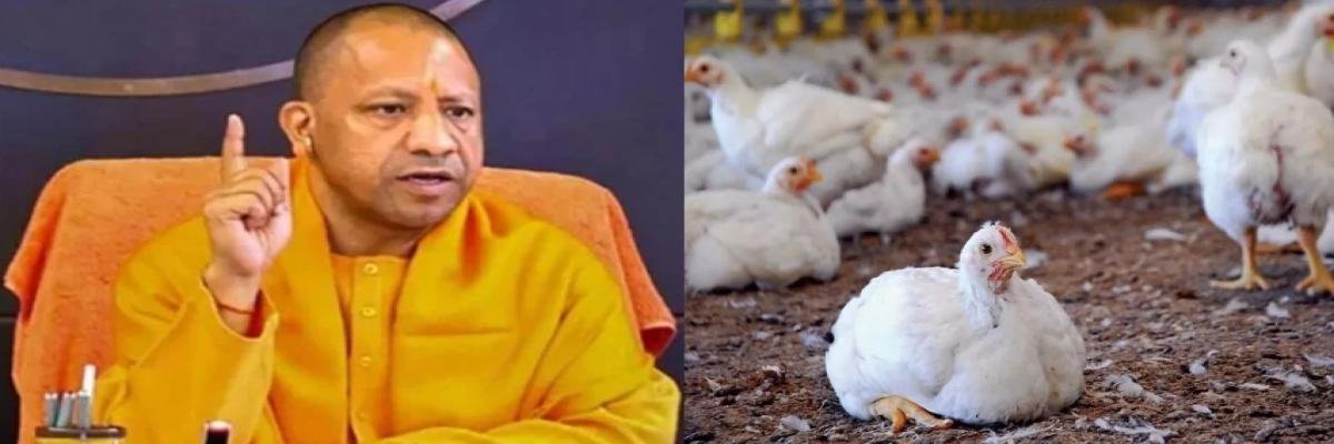 UP : बर्ड फ्लू को लेकर सीएम योगी सख्त, चिड़ियाघरों में सुरक्षा बढ़ाने के दिए आदेश!