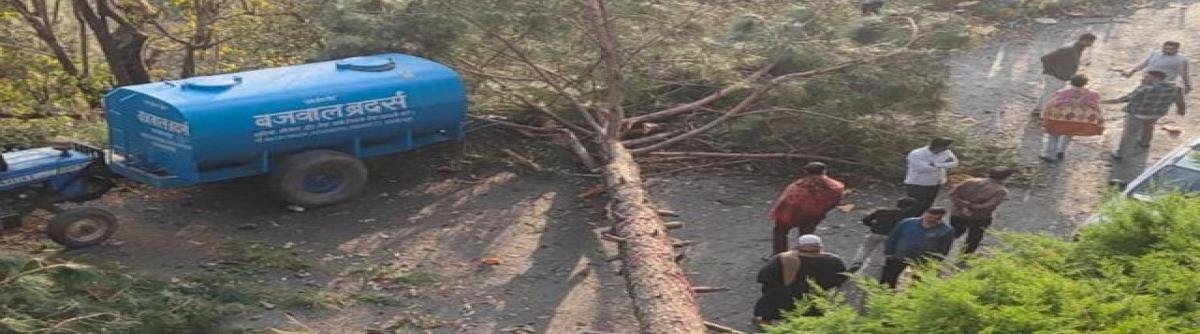 उत्तराखंड में आंधी-बारिश का कहर: नैनीताल में किशोर की मौत, हल्द्वानी में दीवार गिरने से 5 घायल