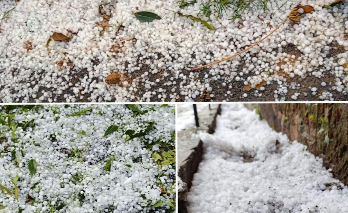 बेमौसम बारिश और ओलावृष्टि से तबाही: यूपी, बिहार समेत कई राज्यों में फसलों को भारी नुकसान