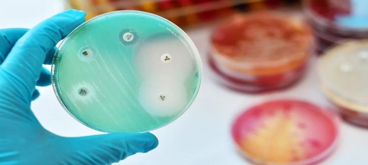 एंटीबायोटिक रेजिस्टेंट बैक्टीरिया पर नई उम्मीद: दो दवाओं का संयोजन असरदार