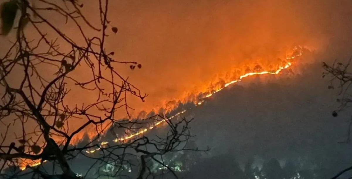 भिकियासैंण के जंगलों में भीषण आग: गांवों तक पहुंचा धुआं, लोगों में दहशत