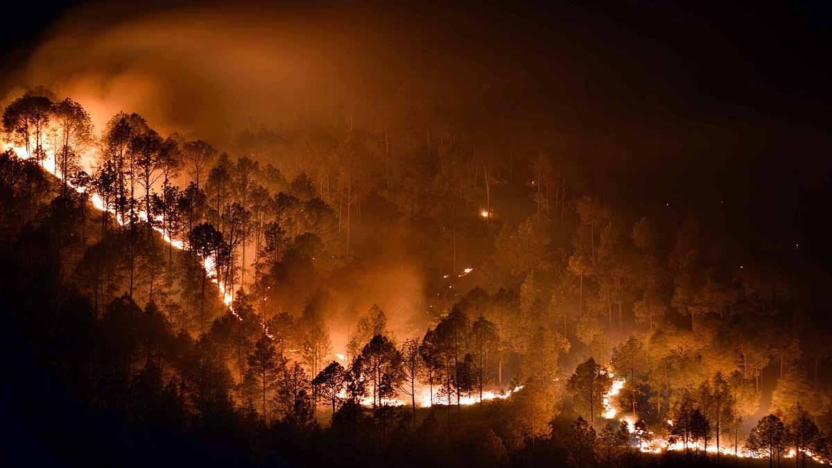 चमोली में जंगल की आग बनी काल, गोशाला तक पहुंची लपटों में झुलसकर महिला की मौत
