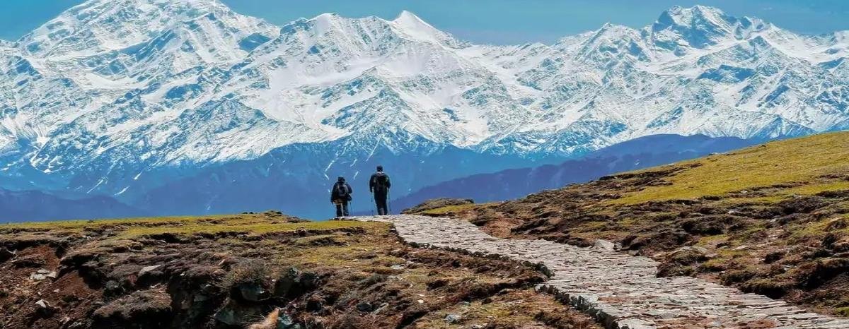 दयारा बुग्याल ट्रैकिंग के दौरान युवती लापता, SDRF और पुलिस की सर्च ऑपरेशन जारी