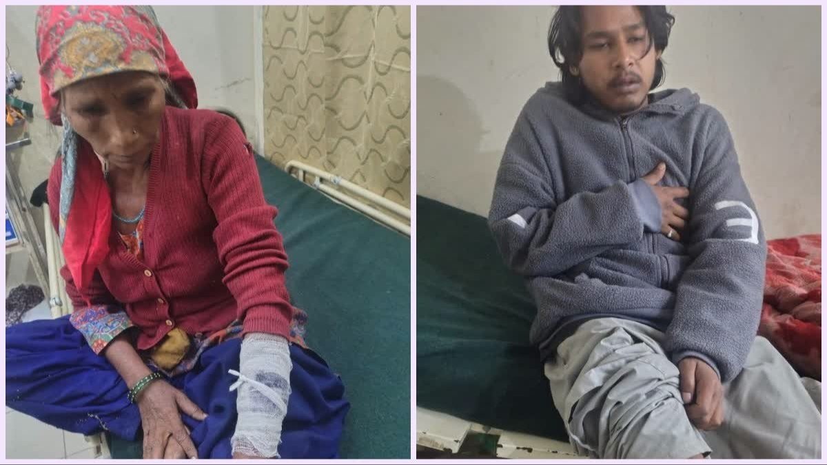 चमोली: जोशीमठ में एक ही परिवार के चार लोगों पर भालू का हमला, डरे सहमे रात गुजार रहे ग्रामीण